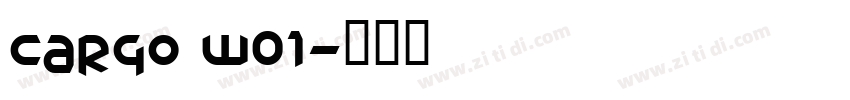 Cargo W01字体转换